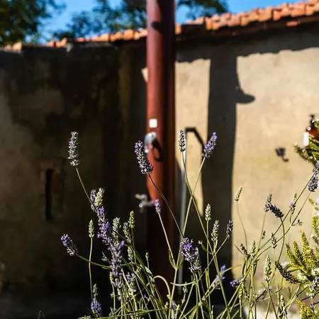 Holiday home Casenuove Iii - Casale Con Giardino E Piscina