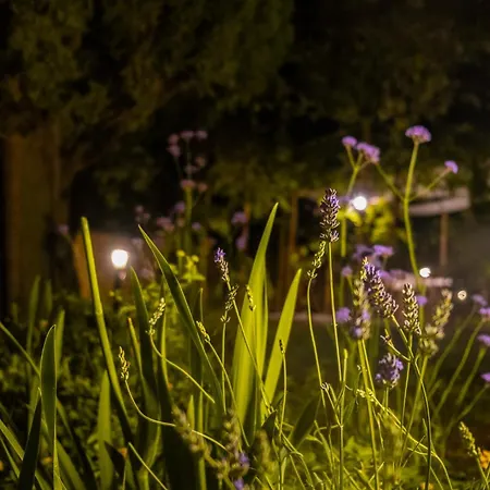 Casenuove Iii - Casale Con Giardino E Piscina